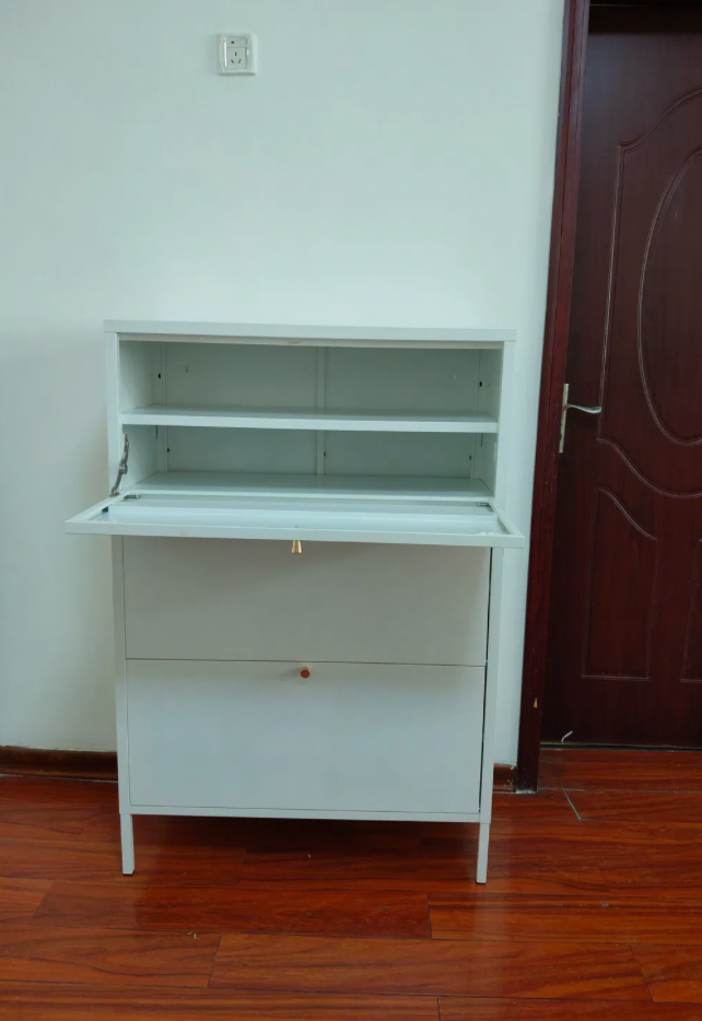 Modern Steel Shoe Storage Cabinet